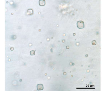 在岩盐中发现的古代微生物可能对寻找生命有影响