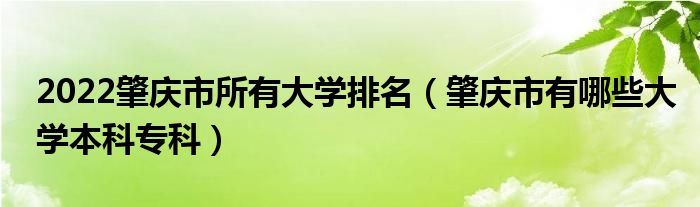 2022肇庆市所有大学排名（肇庆市有哪些大学本科专科）