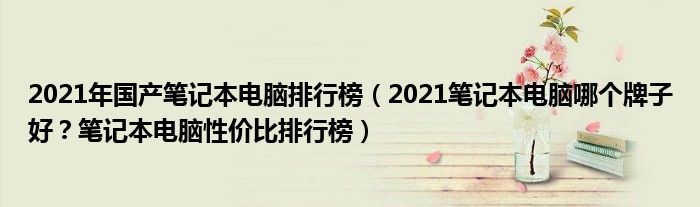 2021年国产笔记本电脑排行榜（2021笔记本电脑哪个牌子好？笔记本电脑性价比排行榜）