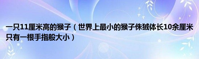 一只11厘米高的猴子（世界上最小的猴子侏狨体长10余厘米只有一根手指般大小）