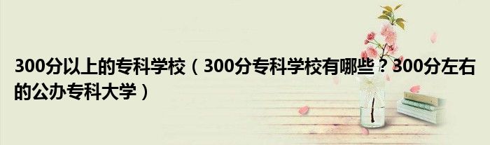 300分以上的专科学校（300分专科学校有哪些？300分左右的公办专科大学）