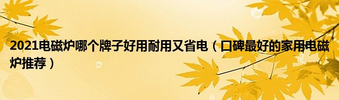 2021电磁炉哪个牌子好用耐用又省电（口碑最好的家用电磁炉推荐）