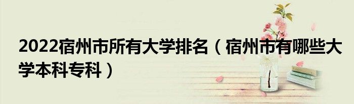 2022宿州市所有大学排名（宿州市有哪些大学本科专科）