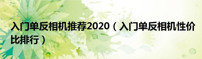 入门单反相机推荐2020（入门单反相机性价比排行）