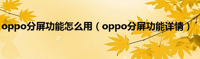 oppo分屏功能怎么用（oppo分屏功能详情）