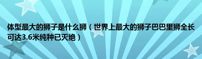 体型最大的狮子是什么狮（世界上最大的狮子巴巴里狮全长可达3.6米纯种已灭绝）