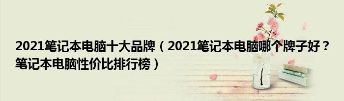 2021笔记本电脑十大品牌（2021笔记本电脑哪个牌子好？笔记本电脑性价比排行榜）