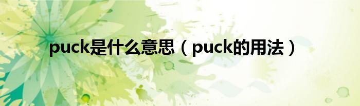 puck是什么意思（puck的用法）