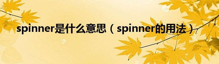 spinner是什么意思（spinner的用法）