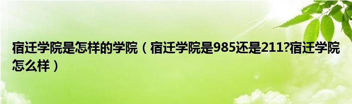 宿迁学院是怎样的学院（宿迁学院是985还是211?宿迁学院怎么样）