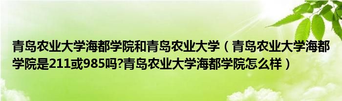 青岛农业大学海都学院和青岛农业大学（青岛农业大学海都学院是211或985吗?青岛农业大学海都学院怎么样）