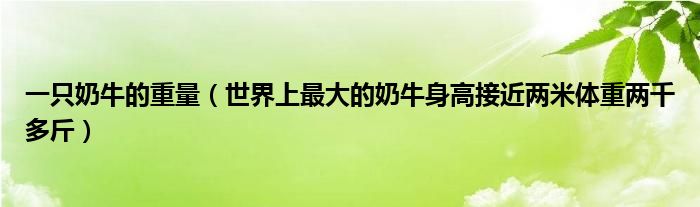 一只奶牛的重量（世界上最大的奶牛身高接近两米体重两千多斤）