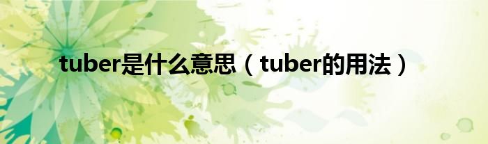 tuber是什么意思（tuber的用法）