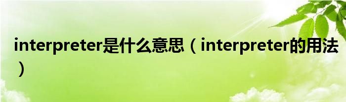 interpreter是什么意思（interpreter的用法）