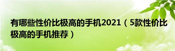 有哪些性价比极高的手机2021（5款性价比极高的手机推荐）