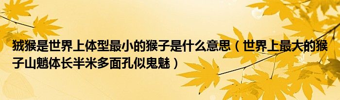 狨猴是世界上体型最小的猴子是什么意思（世界上最大的猴子山魈体长半米多面孔似鬼魅）