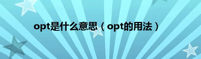 opt是什么意思（opt的用法）