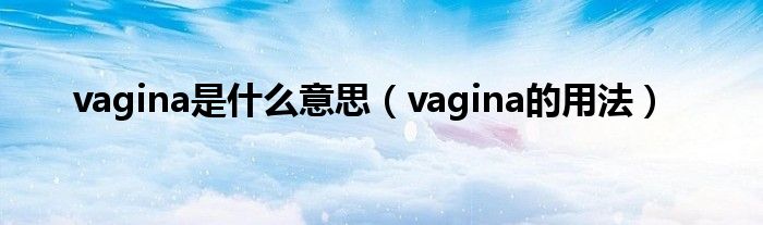 vagina是什么意思（vagina的用法）