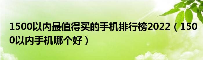 1500以内最值得买的手机排行榜2022（1500以内手机哪个好）