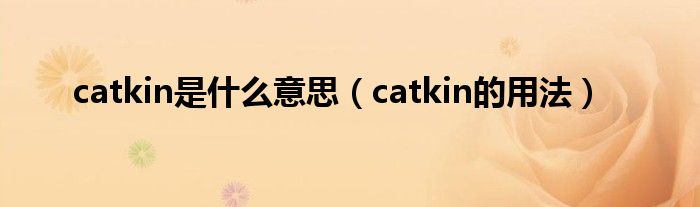 catkin是什么意思（catkin的用法）