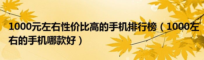 1000元左右性价比高的手机排行榜（1000左右的手机哪款好）