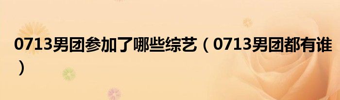 0713男团参加了哪些综艺（0713男团都有谁）