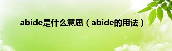 abide是什么意思（abide的用法）