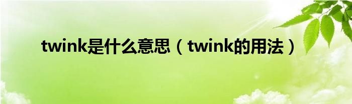 twink是什么意思（twink的用法）