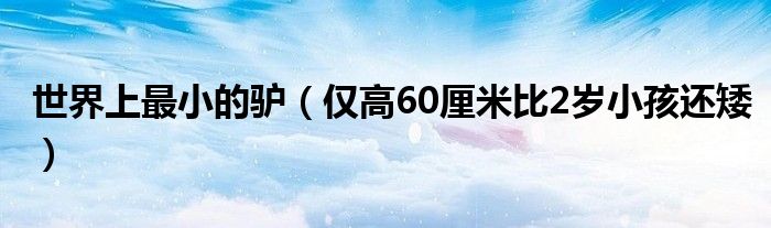 世界上最小的驴（仅高60厘米比2岁小孩还矮）