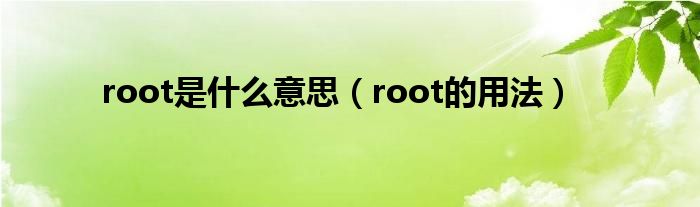 root是什么意思（root的用法）