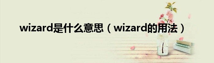 wizard是什么意思（wizard的用法）