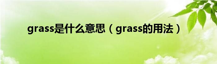 grass是什么意思（grass的用法）