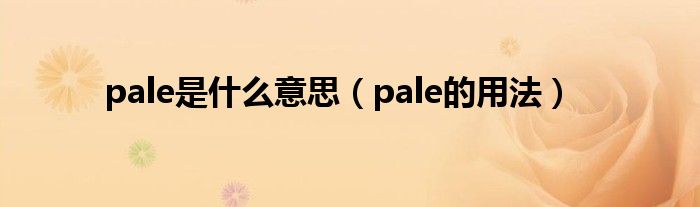 pale是什么意思（pale的用法）