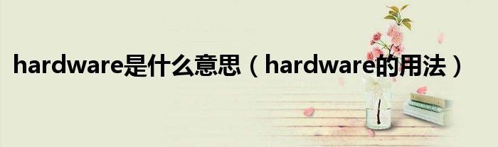 hardware是什么意思（hardware的用法）