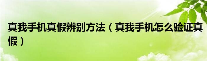 真我手机真假辨别方法（真我手机怎么验证真假）