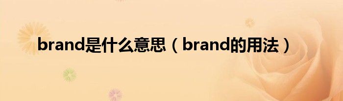 brand是什么意思（brand的用法）