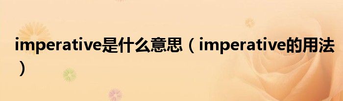 imperative是什么意思（imperative的用法）