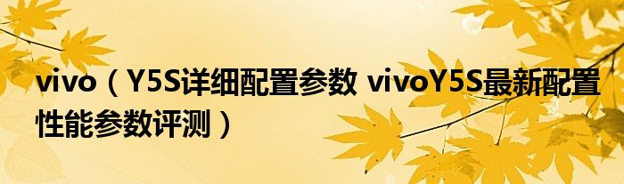 vivo（Y5S详细配置参数 vivoY5S最新配置性能参数评测）