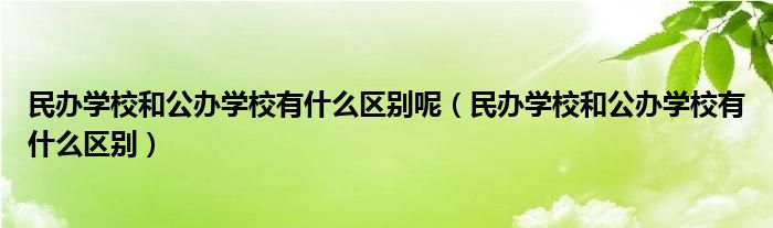 民办学校和公办学校有什么区别呢（民办学校和公办学校有什么区别）