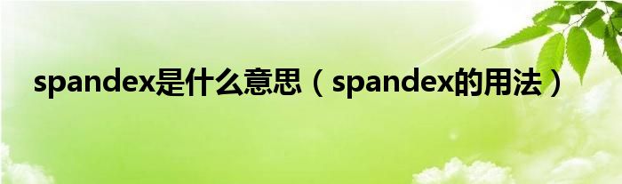 spandex是什么意思（spandex的用法）