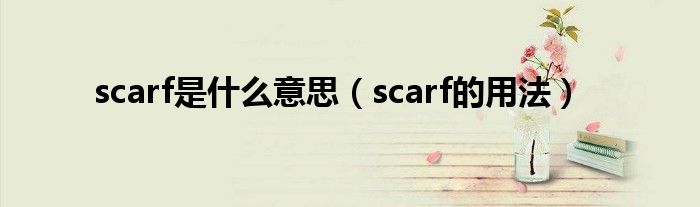 scarf是什么意思（scarf的用法）