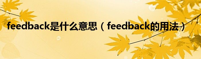 feedback是什么意思（feedback的用法）