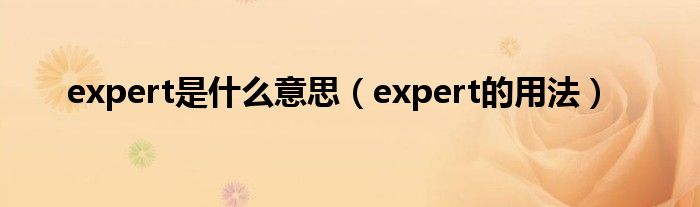 expert是什么意思（expert的用法）