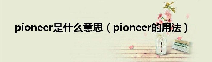 pioneer是什么意思（pioneer的用法）