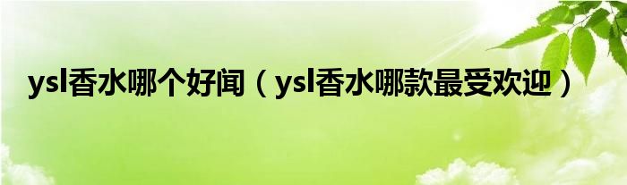 ysl香水哪个好闻（ysl香水哪款最受欢迎）