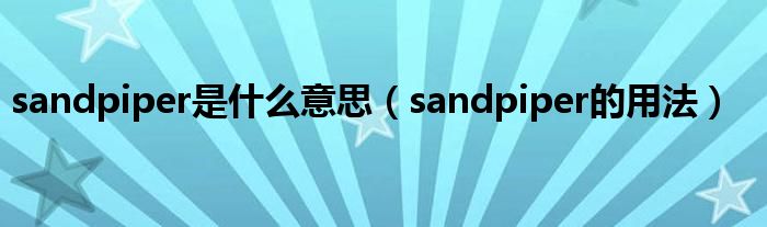 sandpiper是什么意思（sandpiper的用法）