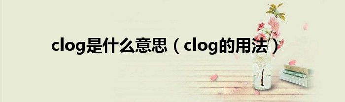 clog是什么意思（clog的用法）