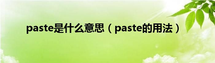 paste是什么意思（paste的用法）