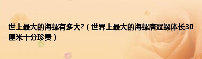 世上最大的海螺有多大?（世界上最大的海螺唐冠螺体长30厘米十分珍贵）