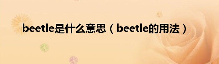 beetle是什么意思（beetle的用法）